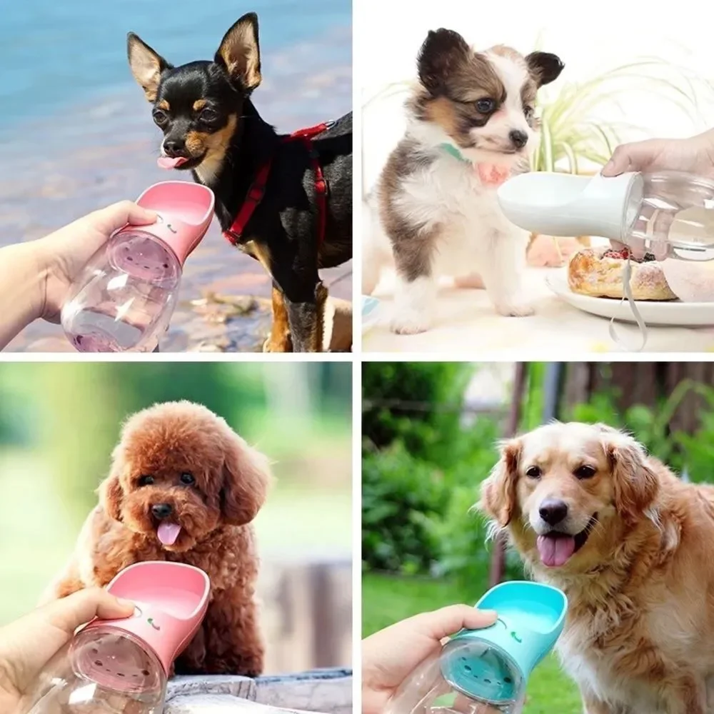 COPY 1- ⛔️CLEARANCE⛔️ Owoof Pet Water Bottle